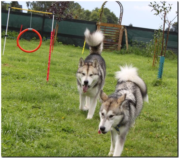 Besuch Nanooq 072.jpg